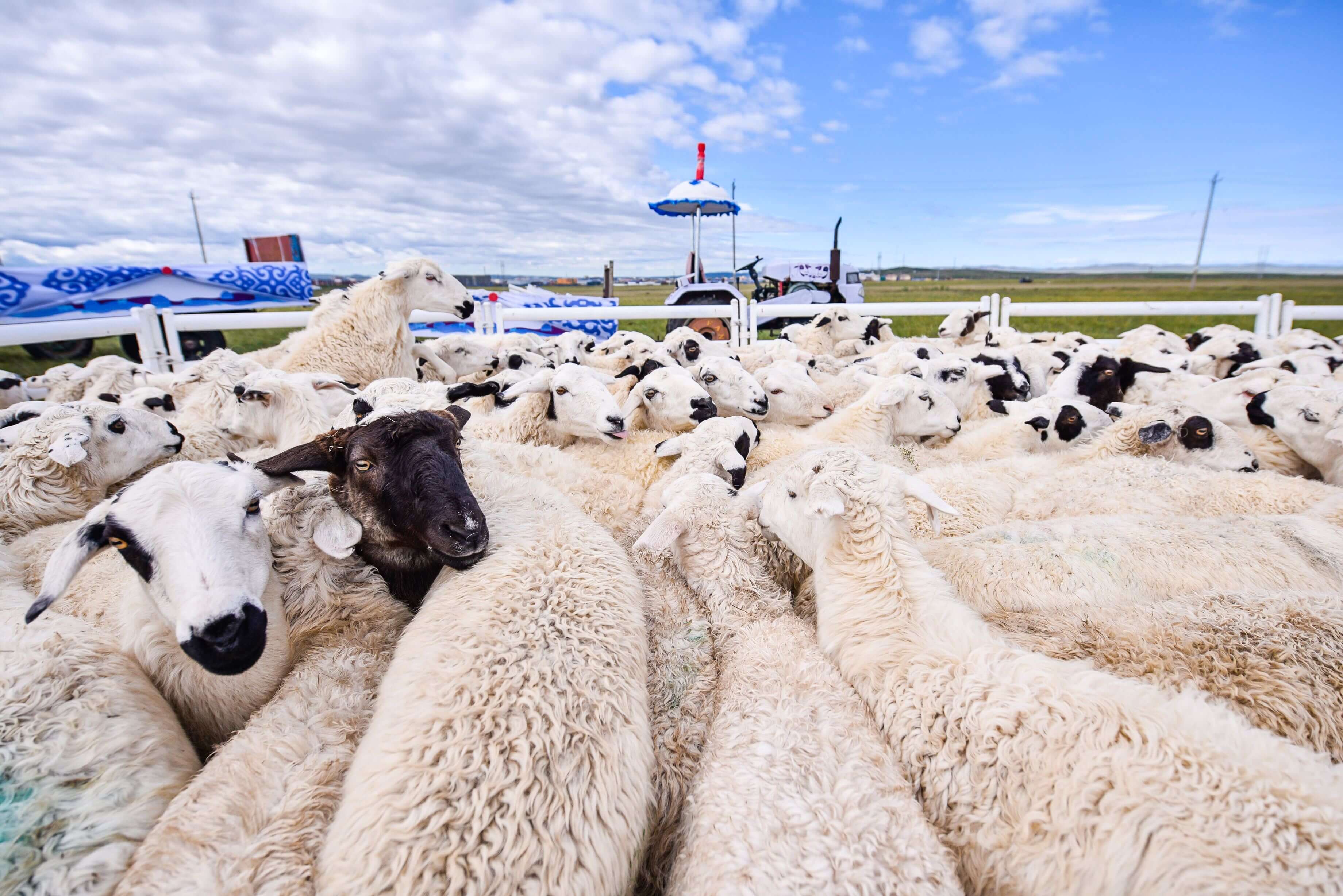 现货黄金哪个最权威