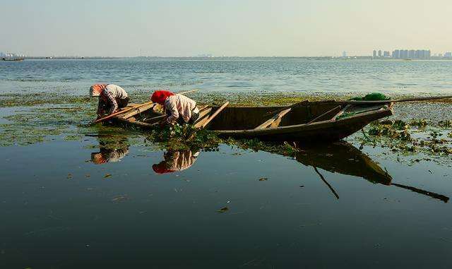 新手怎样炒现货黄金